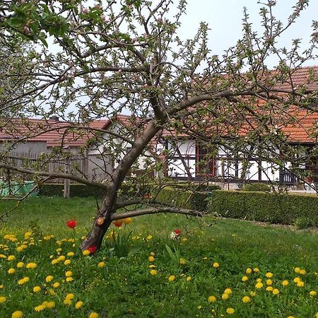 Pension Toepferhof 巴特贝尔卡 外观 照片