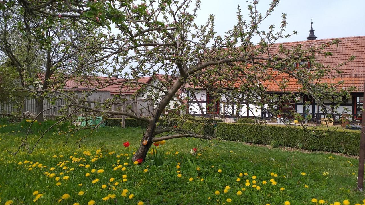 Pension Toepferhof 巴特贝尔卡 外观 照片
